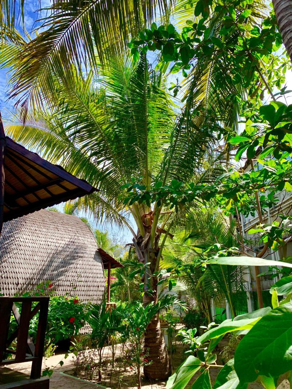 Damai Village Gili Trawangan Zewnętrze zdjęcie